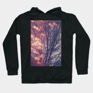 All the pretty lights (2) Hoodie